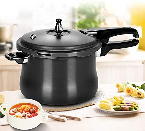 Olla a Presión Aluminio 4.5L WERTGHJ miniatura 4