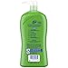 Dial Kids All-in-1 Body Wash + Hair + Bubble Bath, Melon Scent, 32 Fl Oz, Hypoallergenic Body Wash & Shampoo, No Tears Formula for Kids 2+ Years, No Parabens & Silicones