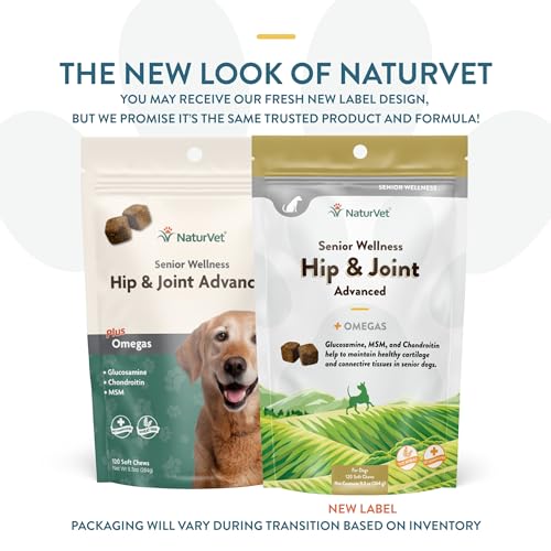 Senior Wellness Hip & Joint Soft Chew Supplement for Dogs with Omegas for Advanced Joint Support by NaturVet - Image 3