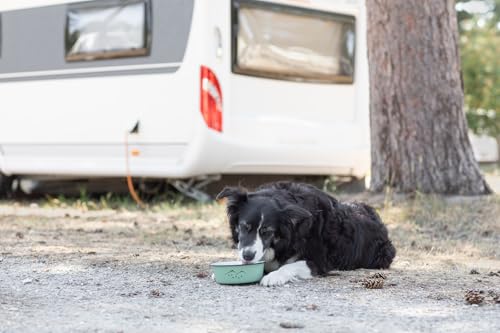 TRIXIE Napf aus Emaille/Edelstahl - rutschfest durch Silikonpunkte - spülmaschinengeeignet - 0,3 l Fassungsvermögen - ø 12 cm - grün - 25211