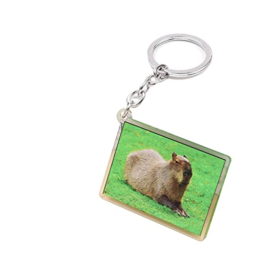 Chaveiro criativo capivara acrílico chaveiro bonito desenho animal capivara chaveiro saco popular pi