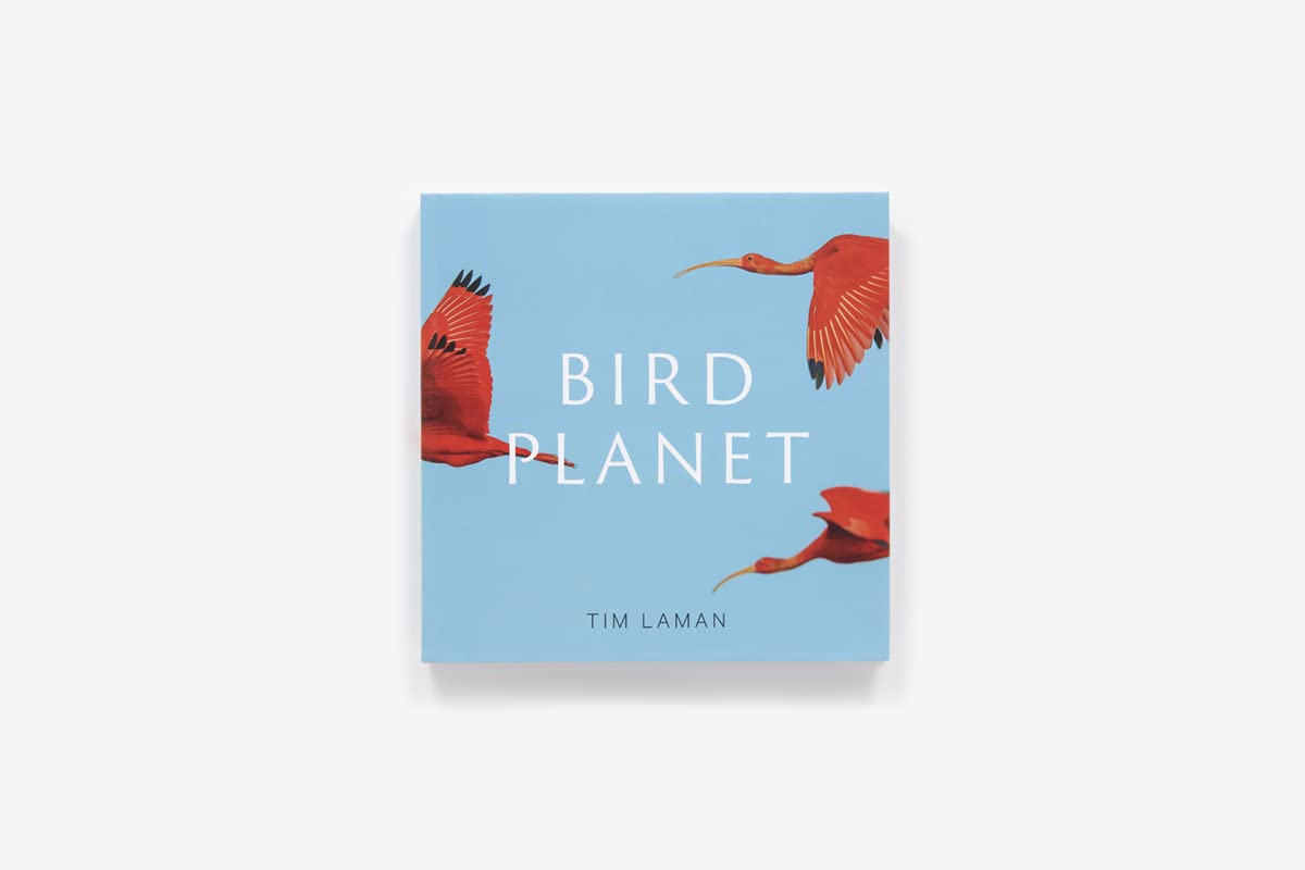 Bird Planet: A Photographic Journey