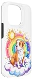 Zoom IMG-2 rainbow clouds american pit bull