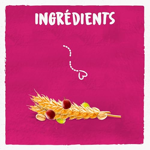 Biscuits Bio Céréales Raisins Bjorg Le Paquet De - vue 4