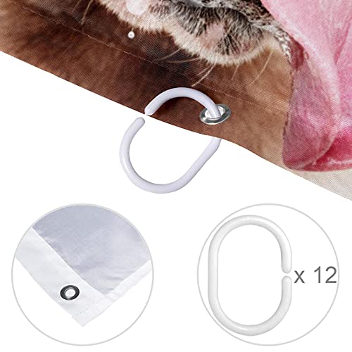 Rideau de douche bouledogue lavable pour éliminer les éclaboussures de la salle de bain - 5