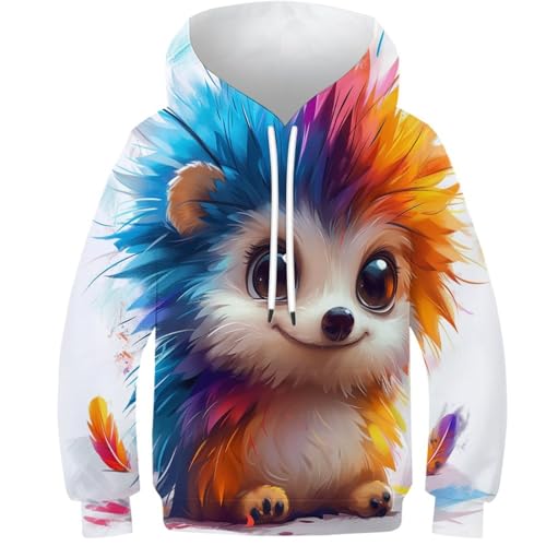 Sweat à capuche hérisson enfants pull confortable manches longues anti-froid taille 8-10Y