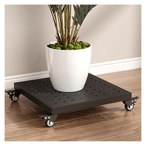 Support à plantes en métal robuste avec roulettes plateau 35 cm