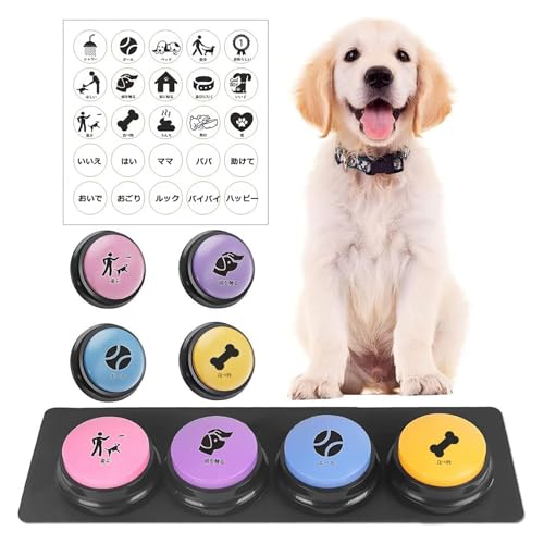 ybg b  b{^  g[LOybg ^ SFZbg ׂ{^ p̋L^\ mߋ ^  