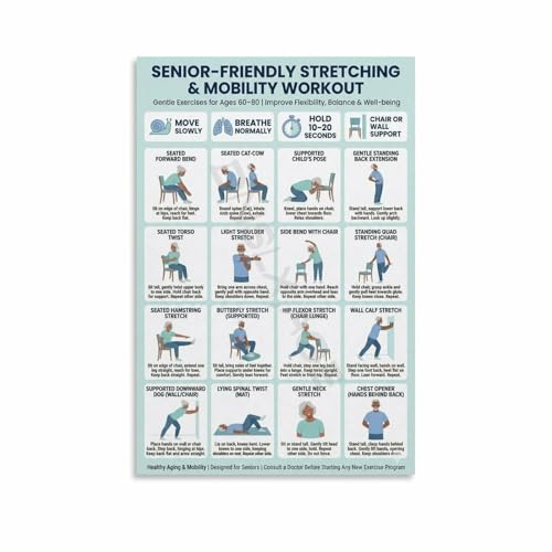 Senior-Friendly Stretching And Mobility Workout Poster Canvas for Living Room Bedroom Decor 12x18inch(30x45cm) Unframe-style