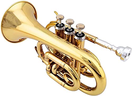 AOISCUI Trompeta de Bolsillo, Mini Trompeta Profesional, Nueva Trompeta de Palma, Instrumento de Trompeta...