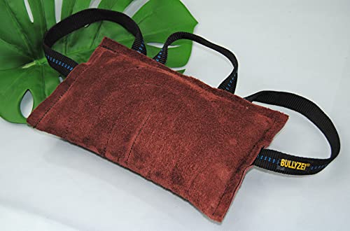 BULLYZEI Beißkissen groß, Leder, 3 Schlaufen, 30 x 18cm