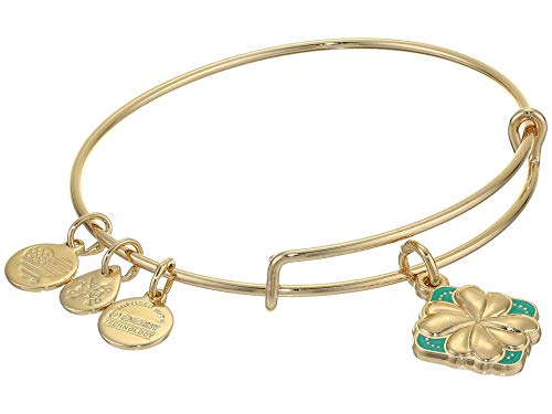 Alex and Ani Color Infusion Bangle Bracelet Gold Four Leaf Clover One Size, Shiny Gold (A20EBSP03SG)