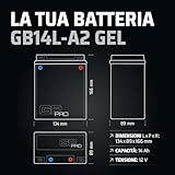 GP-PRO B01N8ROJT0 lato 3