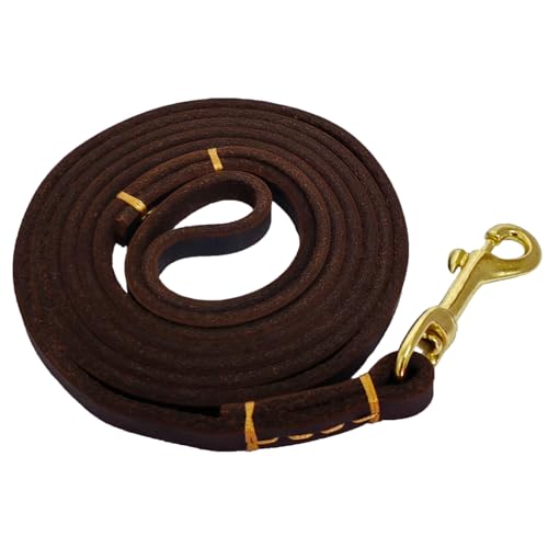 LWBMG U[p[h ^&^p 6tB[g \tg{vAuE