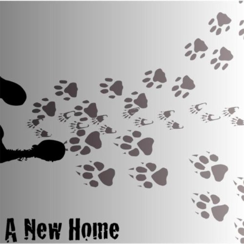 The Cat and the Rat (Poisonous Cheese)