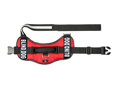 Blind Dog Nylon Dog Vest Harness. Purchase Comes With 2 Reflective Blind Dog Pathces.measure Your Dog Before Ordering #TOP2