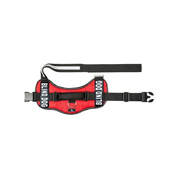 Blind Dog Nylon Dog Vest Harness. Purchase Comes with 2 Reflective Blind Dog Removable pathces. Please Measure Your Dog Before Ordering (Girth 14-18″, Red) Blind Dog Nylon Dog Vest Harness. Purchase Comes with 2 Reflective Blind Dog Removable pathces. Please Measure Your Dog Before Ordering (Girth 14-18″, Red)