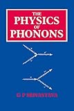 The Physics of Phonons