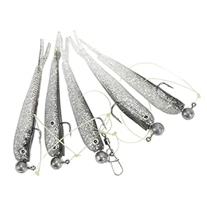 Parapluvissen Kit Hoge resolutie Kit Lichaamsdetails Zoetwatermeerval trekt aan