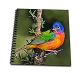 8 x 8 inches spiral bound glossy hard covered 9/16 inch twin loop wire binding spine 50 unlined pages, 8 x 7.75 inches - page thickness is 80lb text Acid free blank bright white non-coated paper Pages lay flat when book is opened