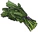 Greens Kale Dino Organic, 1 Bunch