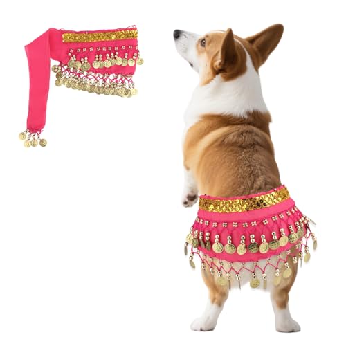 Jupe Danseuse Ventre Chien Bling, Foulard Corgi