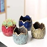 Simcat Succulent Pots with Drainage Half Dragon Egg Shell Design Ceramic Flower Pot 4 Cactus Planter Pots Marble Print Succulent Plant Pots + Bamboo Tray for Home Office Desktop Windowsill Décor