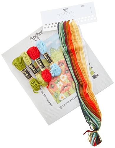 Kit broderie débutant Anchor champ de coquelicots : apprenez enfin le point