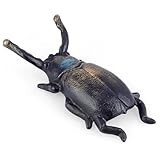 BIMUYI