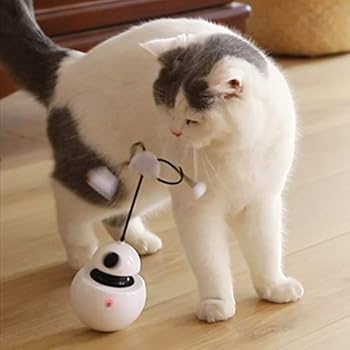 rocky robot cat toy