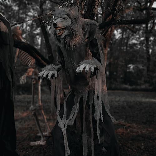 Haunted Hill Farm 7-Ft. Tall Towering Werewolf, Motion-Activated Animatronic for Indoor or Covered Outdoor Creepy Decorations, Plug-in Scary Halloween Prop