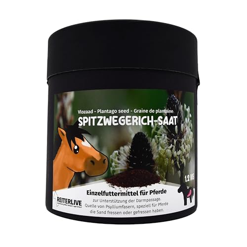 Reiterlive Spitzwegerich-Saat 1,2kg