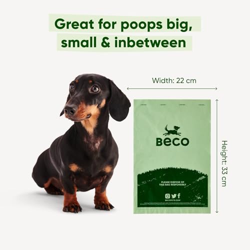 Beco Starke und große Kotbeutel – 270 lose verpackt mit Griffen zum Binden – Boxspender (Unscented - 540 Kotbeutel)