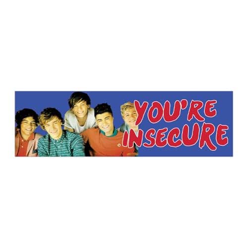 Amazon.com: You're Insecure Direction Funny Gen Z Unhinged Meme Bumper ...