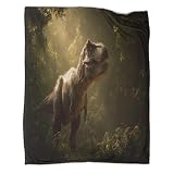kaiyun Tiranosaurio Rex Manta Ropa De Cama para 3D Animales de la Selva Colcha Patchwork De Felpa Impresa Digitalmente para Niños Y Niñas 70x80inch(180x200cm)
