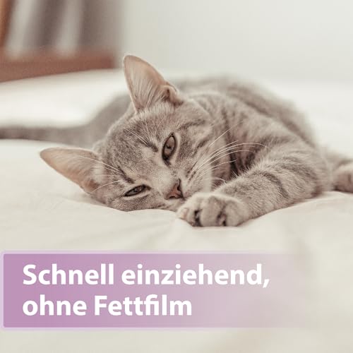 Felisept Pfotenpflege für Katzen 75g - Pfotenpflege Katze - Pfotenbalsam Katze - Schützt vor Austrocknung und Rissen - Schnell einziehend, ohne Fettfilm - Reichhaltige Pflege und Feuchtigkeit