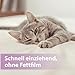 Felisept Pfotenpflege für Katzen 75g - Pfotenpflege Katze - Pfotenbalsam Katze - Schützt vor Austrocknung und Rissen - Schnell einziehend, ohne Fettfilm - Reichhaltige Pflege und Feuchtigkeit