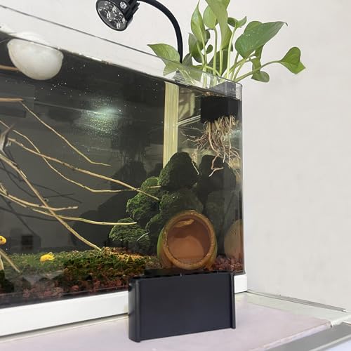 Support pour plantes d'aquariums et bac hydroponique porte pot de fleurs suspendu