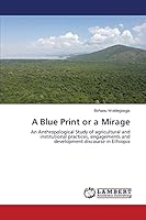 A Blue Print or a Mirage 3659668656 Book Cover