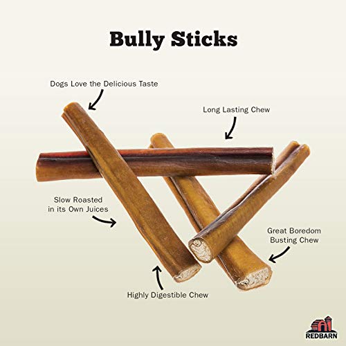 Redbarn Pet Products RB207016 Redbarn All-Natural 7 Inch Bully Sticks For Dogs - Premium Grain-Free & Rawhide-Free Single Ingredient Long Lasting Low Odor Dental Treat thumb #2