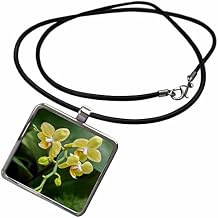3dRose Moth Orchid. Necklace With Rectangle Pendant