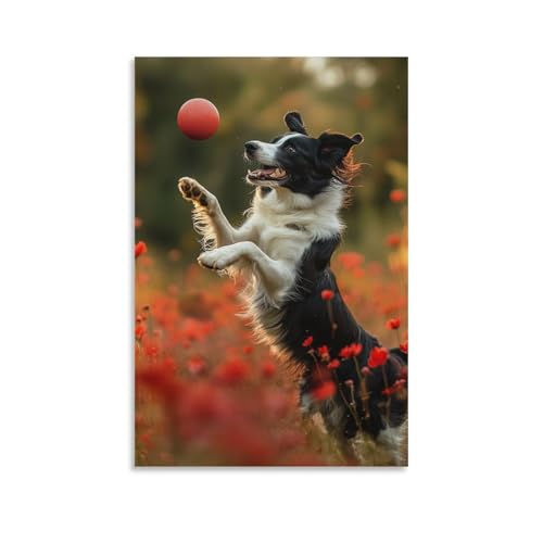 Cuadro en lienzo de Border Collie 50x75cm para decorar el salon y pasillo