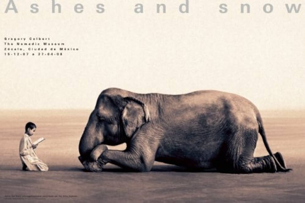 洋書 ashes and  by Gregory Colbert 2007 Amazon.co.jp: Ashes and Snow Mexico Boy Reading to Elephant