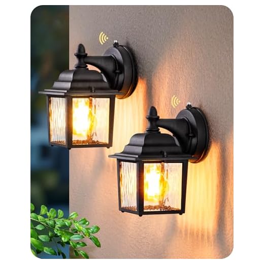 EDISHINE 2 Pack Outdoor Porch Light, Dusk to Dawn Exterior Lighting Fixtures, Modern Outdoor Wall Lights Fixture, Clear Water Ripple Glass, Anti-Rust Waterproof for Front Door Garage Patio, Black