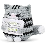 Augesak Positive Katze Geschenke, Pocket Hug Katze Puppe, Geburtstagsgeschenk Valentinstagsgeschenk Gute Besserung Geschenke Mutmacher für Freundin Familie Kollegen Freunde