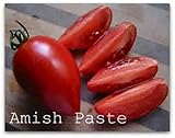 Pasta de tomate Amish! 20 semillas! Vea nuestra tienda vendemos más de 200 clases de tomates!