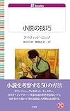 小説の技巧 (白水Uブックス)