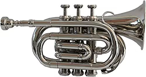 Kelleen Heartbeat Bb Pocket Trumpet Nickel Finish Brass Body Musical Instruments Best For Begineer, Intermediate Or Advanced With Free Hard Case, Mouthpiece, Spring Set, Pair Of Gloves #TOP28