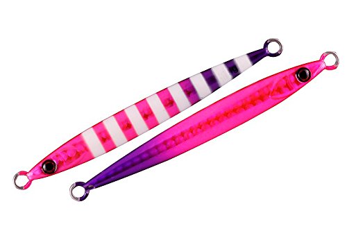 ビッグバッカー ジグ スライドスティック 20g グローピンク&パープル / レンズホロ