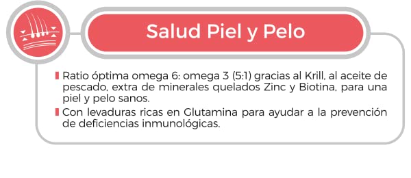 Select Mini Adult Salmon-Rice 8KG